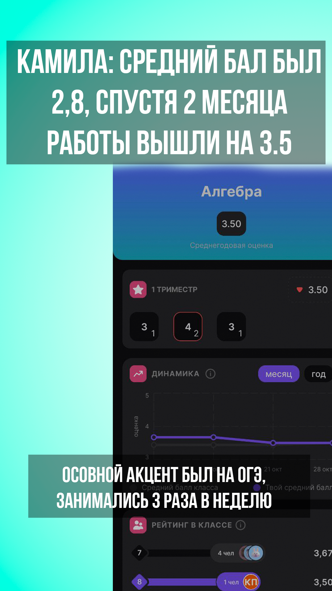 Кейс Камилы